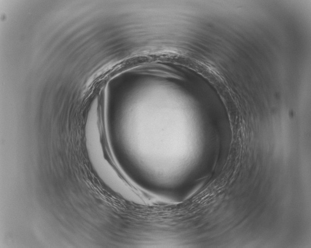 X0000053090920200508081307