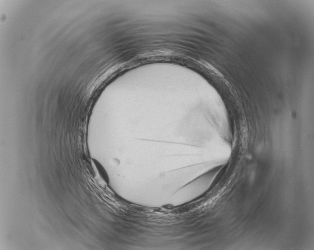 X0000053090921200508081307