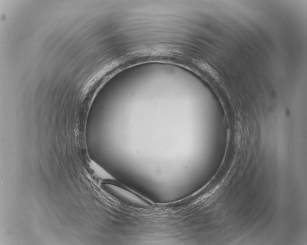 X0000053090922200508081307