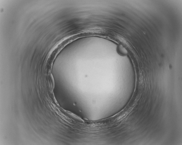 X0000053090923200508081307