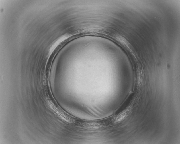 X0000053090924200508081307