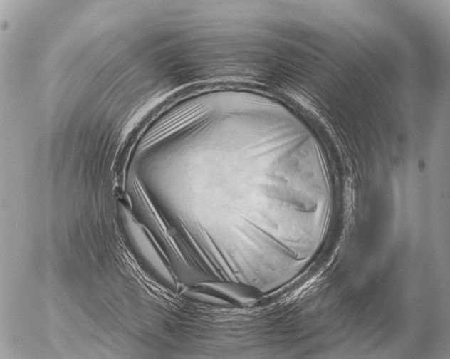 X0000053090925200508081307