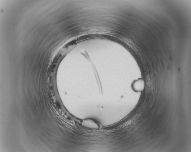 X0000053090926200508081307