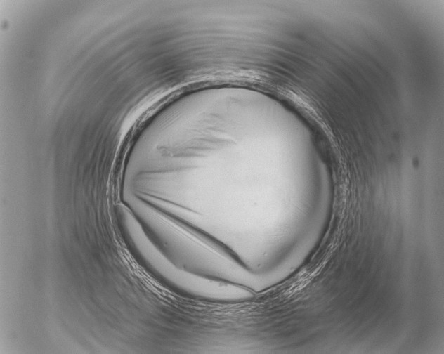 X0000053090928200508081307