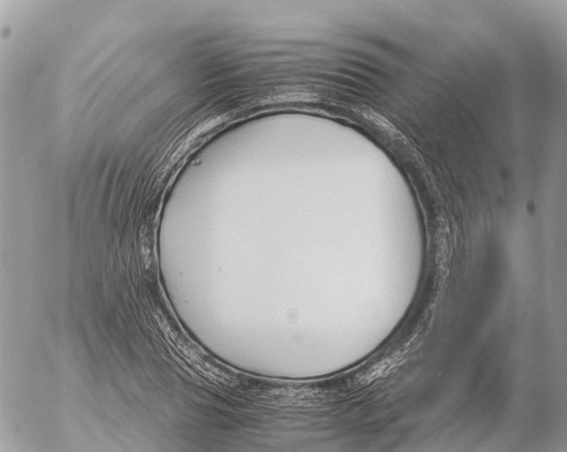 X0000053090929200508081307