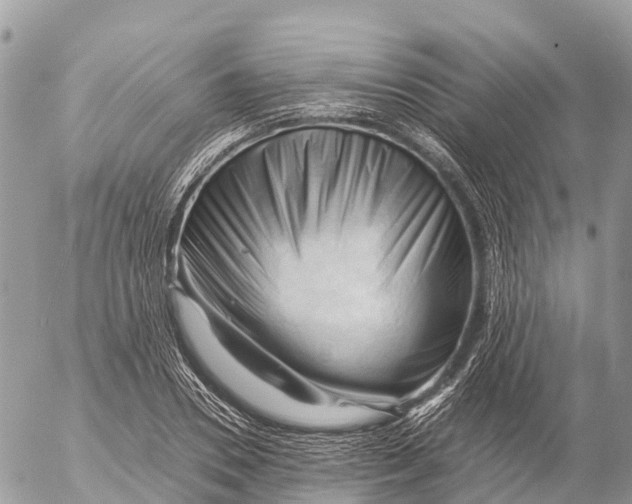 X0000053090930200508081307