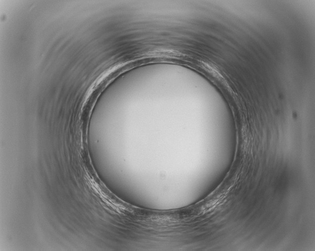 X0000053090931200508081307