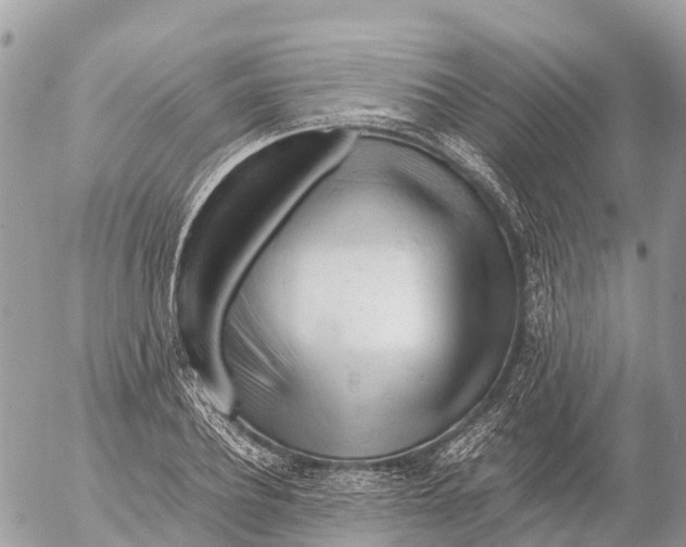 X0000053090932200508081307