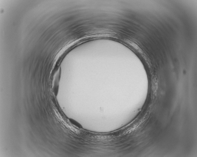 X0000053090933200508081307