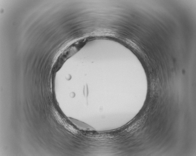 X0000053090934200508081307