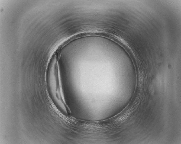 X0000053090935200508081307