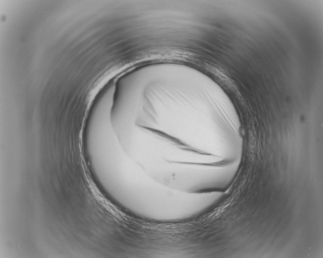 X0000053090936200508081307