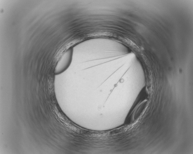 X0000053090937200508081307