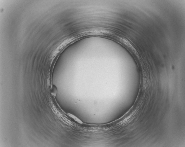 X0000053090938200508081307