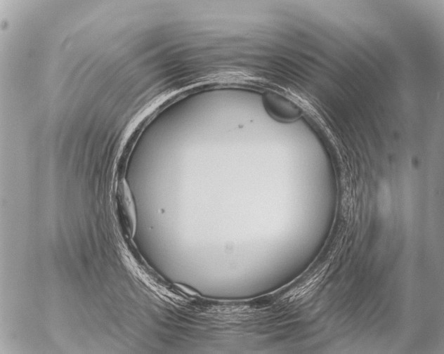 X0000053090939200508081307