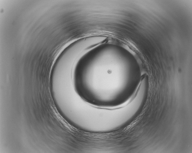 X0000053090940200508081307