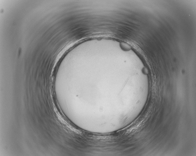 X0000053090941200508081307