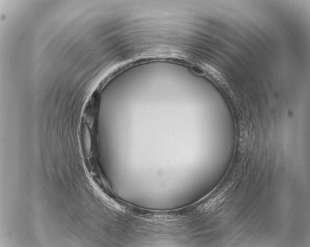 X0000053090942200508081307