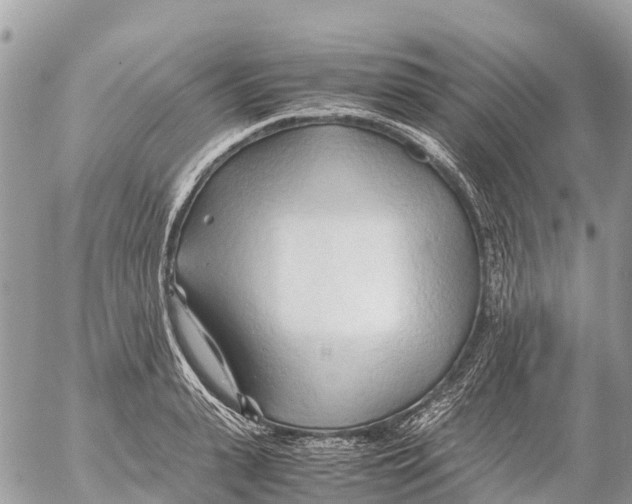 X0000053090943200508081307