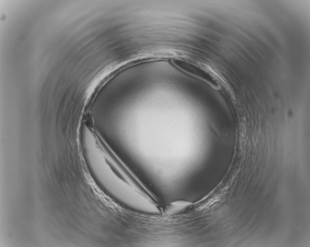 X0000053090944200508081307