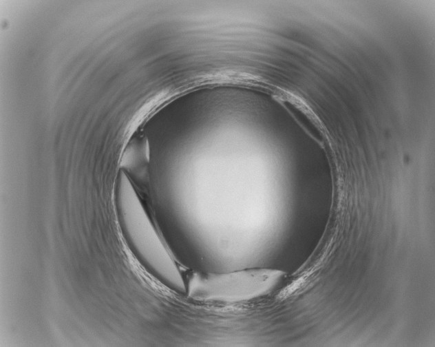 X0000053090946200508081307