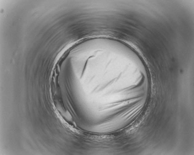 X0000053090949200508081307