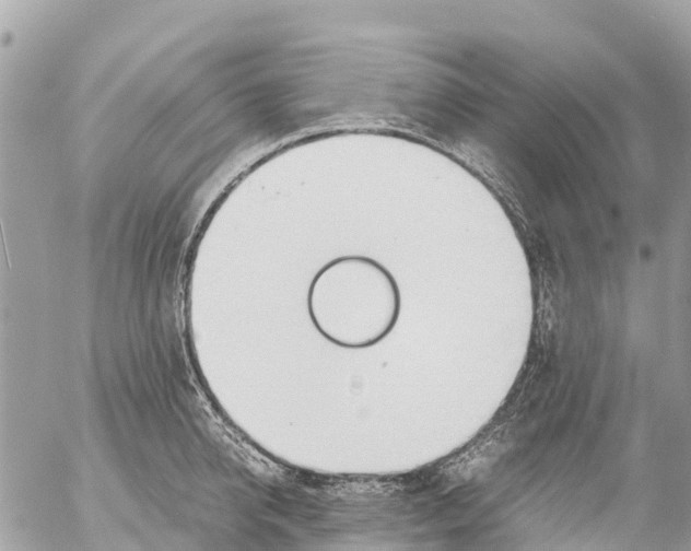 X0000053090950200508081307