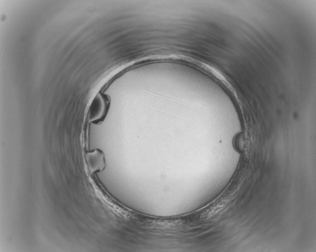 X0000053090951200508081307