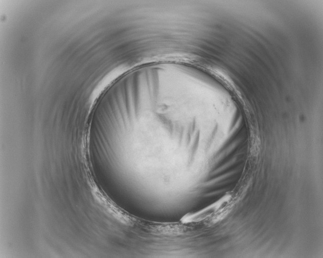 X0000053090952200508081307