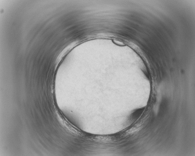 X0000053090954200508081307