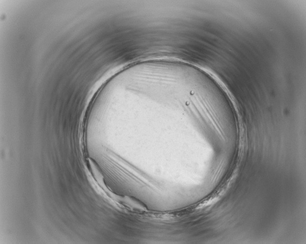 X0000053090957200508081307