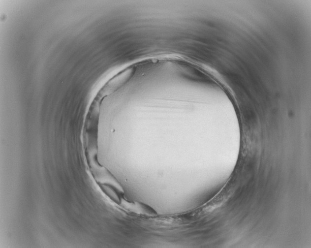 X0000053090959200508081307