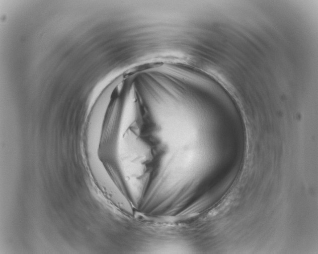 X0000053090960200508081307