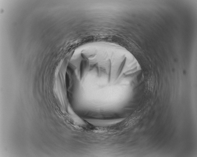 X0000053090961200508081307