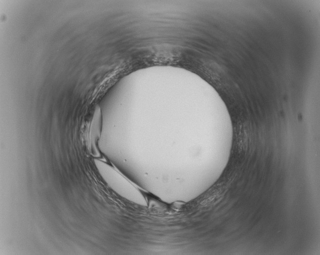 X0000053090962200508081306