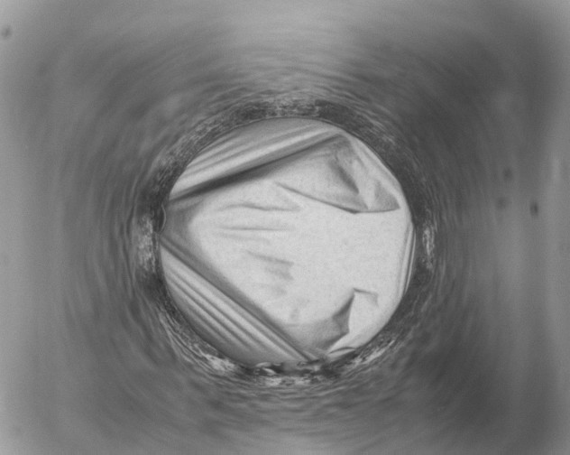 X0000053090963200508081306