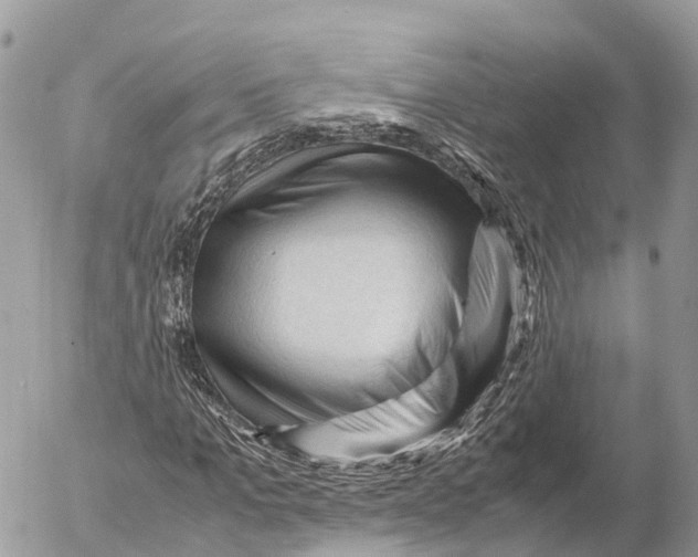 X0000053090965200508081306