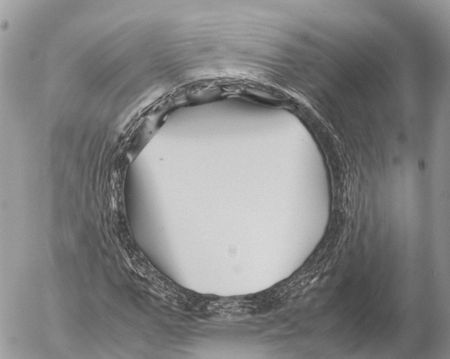 X0000053090967200508081306