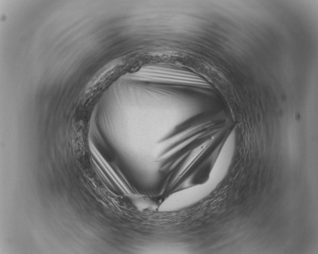 X0000053090968200508081306