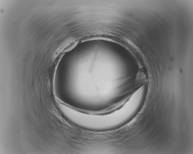 X0000053090969200508081306