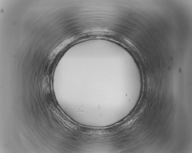 X0000053090970200508081306