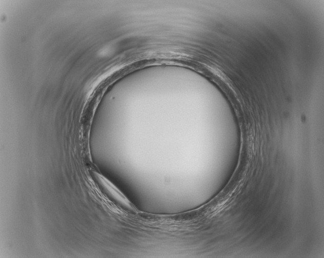 X0000053090971200508081306