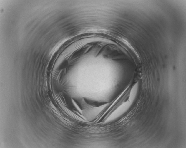 X0000053090972200508081306