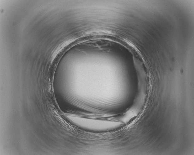 X0000053090973200508081306