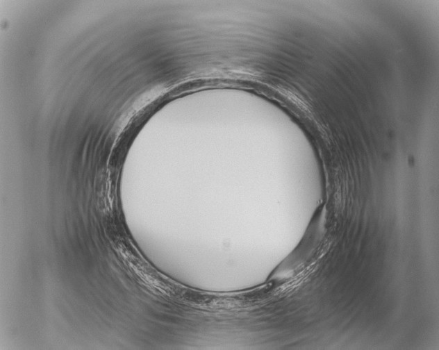 X0000053090974200508081306