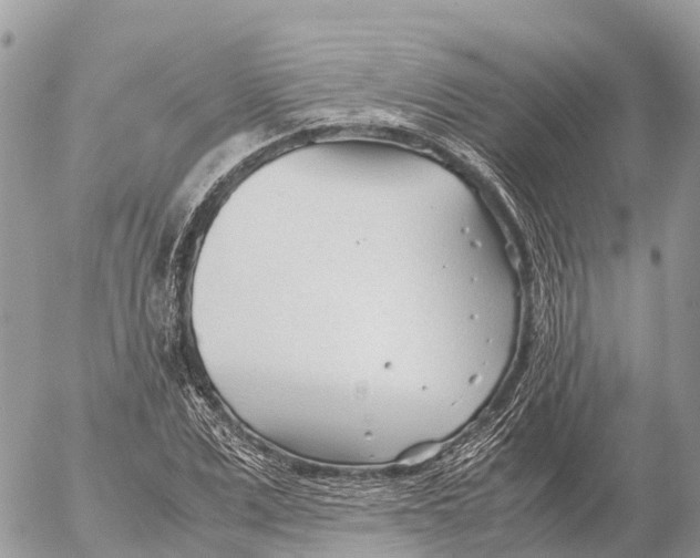 X0000053090975200508081306