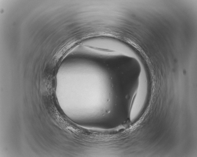 X0000053090977200508081306