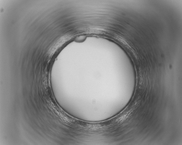 X0000053090978200508081306