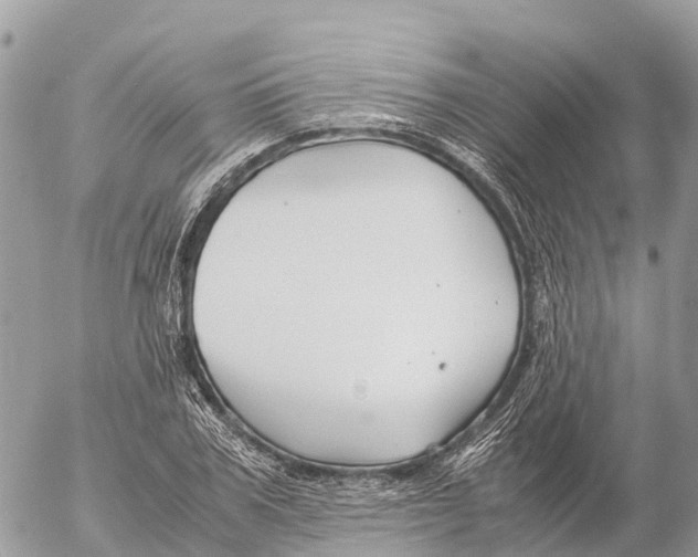 X0000053090979200508081306