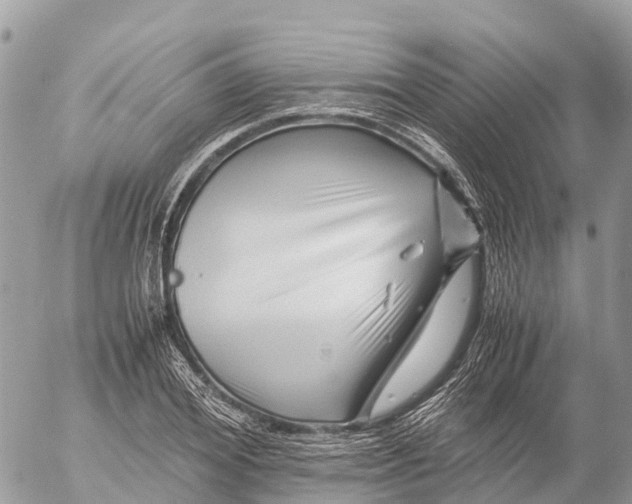 X0000053090980200508081306